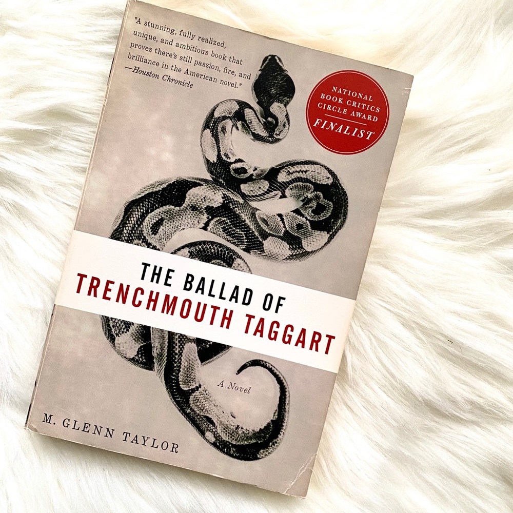 Book - The Ballad of Trenchmouth Taggart